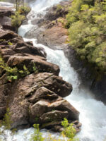 Puerto Blest y Cascada Los Cántaros con traslado incluido