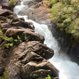 Excursión a Puerto Blest y Cascada Los Cántaros sin traslado