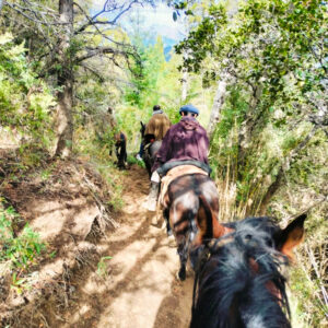 Cabalgata por el bosque de Cohiues
