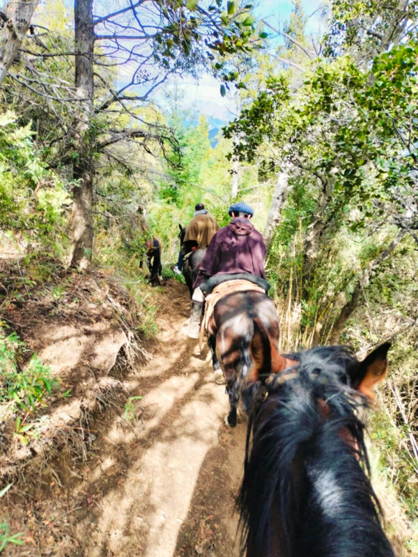 Cabalgata por el bosque de Cohiues - Imagem 1