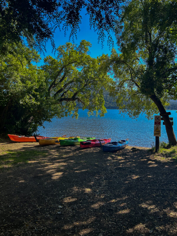Travesía en Kayak por el lago Gutiérrez (Sin traslado) - Image 4