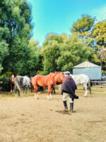 Cabalgata por el bosque de Cohiues - Imagem 2
