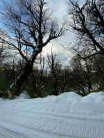 La Cueva – Travesía Diurna en Moto de Nieve y Cuatriciclos - Con traslado - Image 4