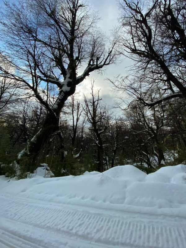 La Cueva – Travesía Diurna en Moto de Nieve y Cuatriciclos - Con traslado - Image 4
