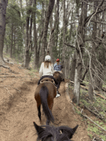 Cabalgata con vista al Cerro López - Aventura entre bosques y miradores del Circuito Chico - Imagen 2