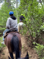 Cabalgata con vista al Cerro López - Aventura entre bosques y miradores del Circuito Chico - Imagen 4