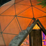 Winter Park - Cena Show y Ski nocturno