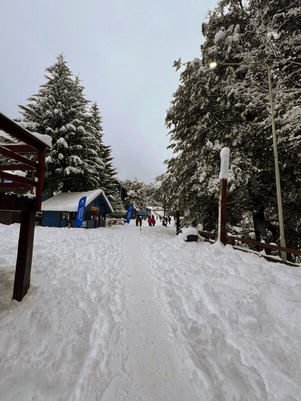 Villa La Angostura y Cerro Bayo con traslado incluido - Imagen 4