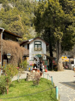 Traslado Colonia Suiza Bariloche: tradición, naturaleza y sabor - Imagen 4