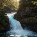 Excursión a Puerto Blest y Cascada Los Cántaros sin traslado