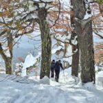 Nieve Encantada: Nieve, Diversión y Naturaleza al Mejor Costo